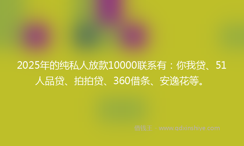 2025年的纯私人放款10000联系有：你我贷、51人品贷、拍拍贷、360借条、安逸花等。