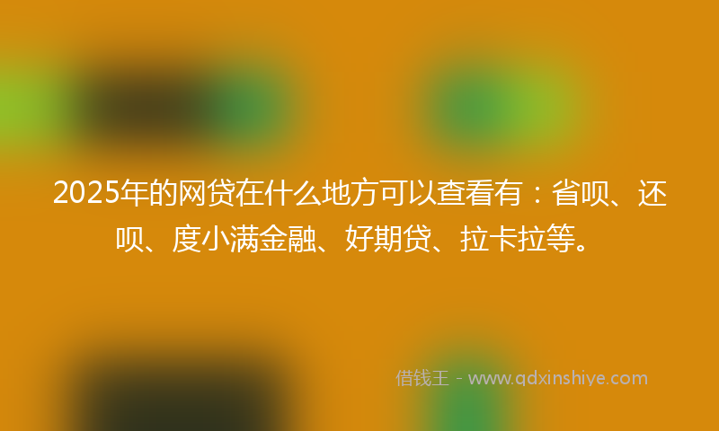 2025年的网贷在什么地方可以查看有：省呗、还呗、度小满金融、好期贷、拉卡拉等。