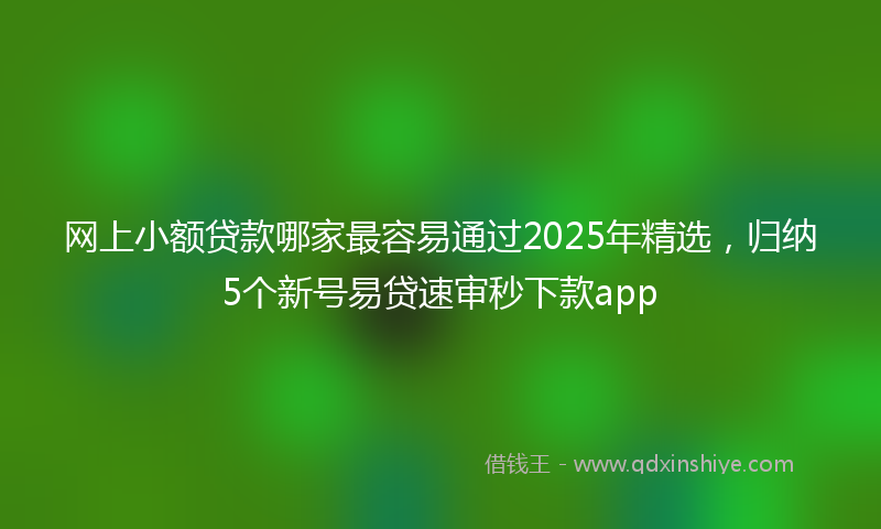 网上小额贷款哪家最容易通过2025年精选，归纳5个新号易贷速审秒下款app