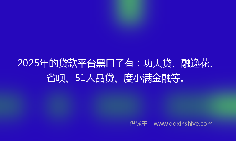 2025年的贷款平台黑口子有：功夫贷、融逸花、省呗、51人品贷、度小满金融等。
