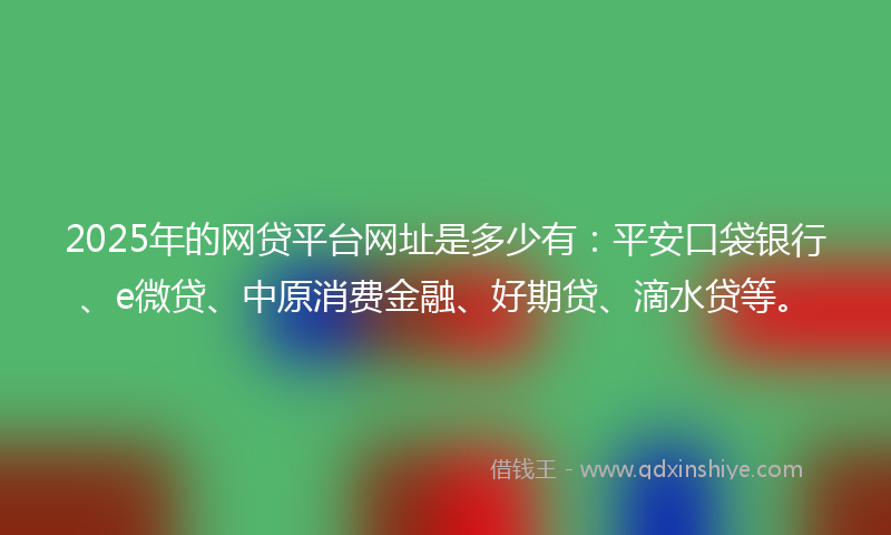 2025年的网贷平台网址是多少有：平安口袋银行、e微贷、中原消费金融、好期贷、滴水贷等。