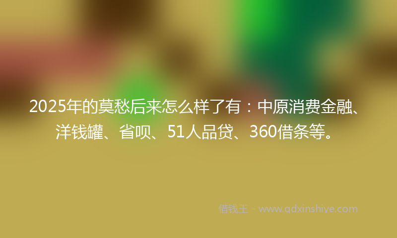 2025年的莫愁后来怎么样了有：中原消费金融、洋钱罐、省呗、51人品贷、360借条等。