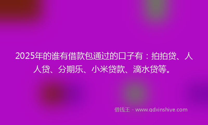 2025年的谁有借款包通过的口子有：拍拍贷、人人贷、分期乐、小米贷款、滴水贷等。