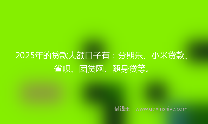2025年的贷款大额口子有：分期乐、小米贷款、省呗、团贷网、随身贷等。