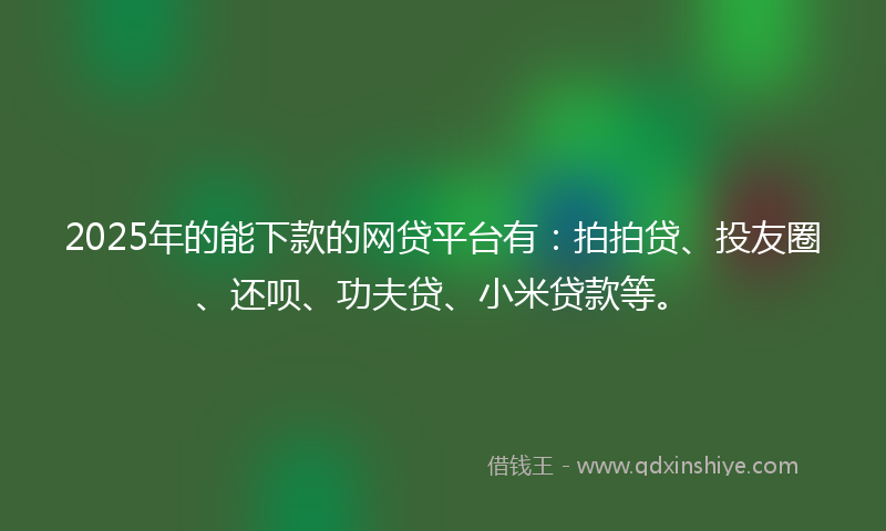 2025年的能下款的网贷平台有：拍拍贷、投友圈、还呗、功夫贷、小米贷款等。
