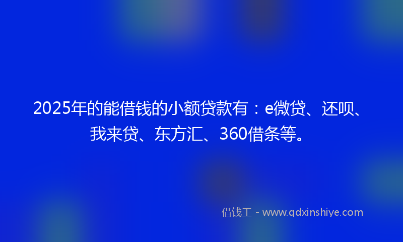 2025年的能借钱的小额贷款有：e微贷、还呗、我来贷、东方汇、360借条等。