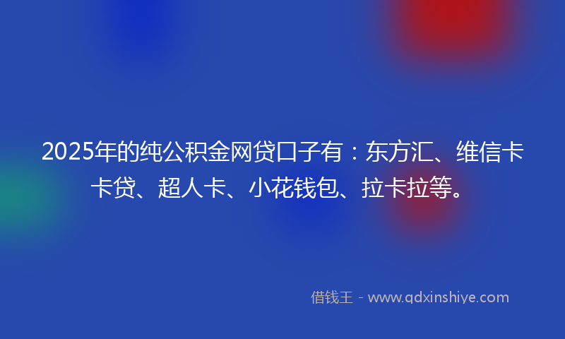 2025年的纯公积金网贷口子有：东方汇、维信卡卡贷、超人卡、小花钱包、拉卡拉等。