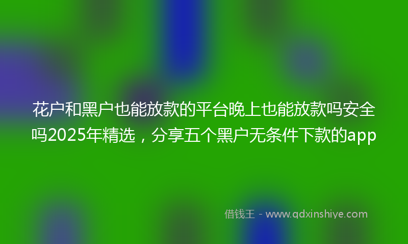 花户和黑户也能放款的平台晚上也能放款吗安全吗2025年精选，分享五个黑户无条件下款的app