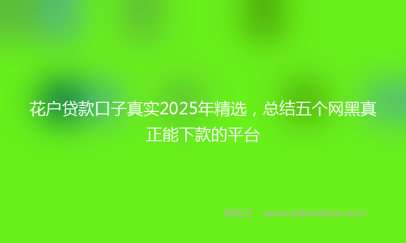 花户贷款口子真实2025年精选，总结五个网黑真正能下款的平台