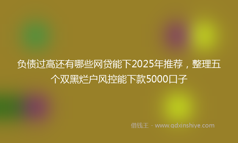 负债过高还有哪些网贷能下2025年推荐，整理五个双黑烂户风控能下款5000口子