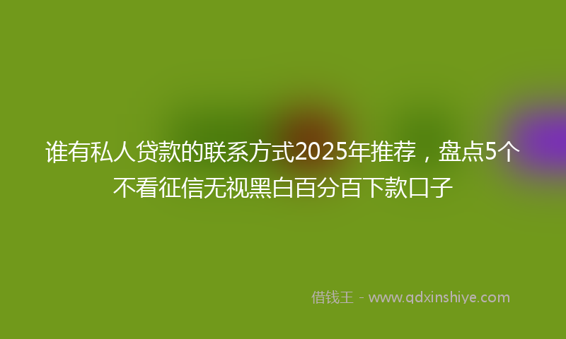 谁有私人贷款的联系方式2025年推荐，盘点5个不看征信无视黑白百分百下款口子