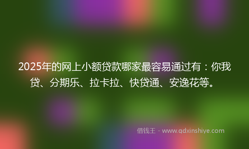 2025年的网上小额贷款哪家最容易通过有：你我贷、分期乐、拉卡拉、快贷通、安逸花等。