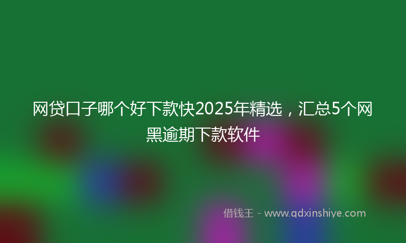 网贷口子哪个好下款快2025年精选，汇总5个网黑逾期下款软件