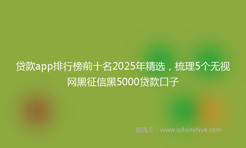 贷款app排行榜前十名2025年精选，梳理5个无视网黑征信黑5000贷款口子