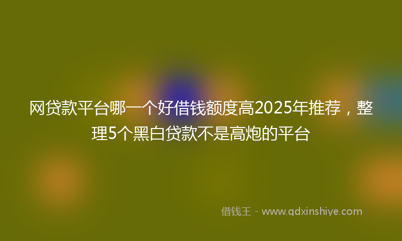 网贷款平台哪一个好借钱额度高2025年推荐，整理5个黑白贷款不是高炮的平台