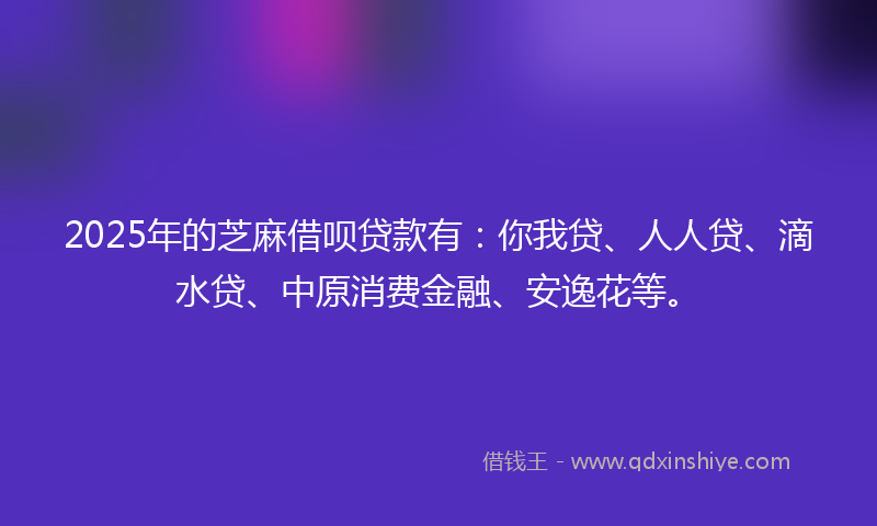 2025年的芝麻借呗贷款有：你我贷、人人贷、滴水贷、中原消费金融、安逸花等。