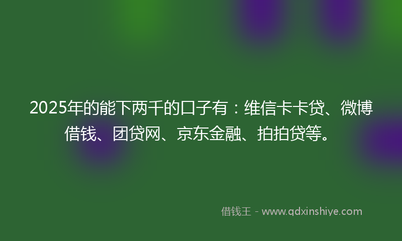 2025年的能下两千的口子有：维信卡卡贷、微博借钱、团贷网、京东金融、拍拍贷等。