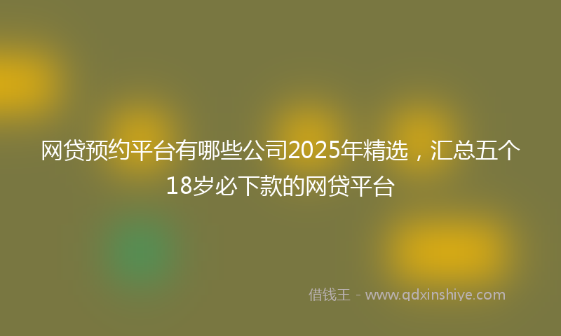 网贷预约平台有哪些公司2025年精选，汇总五个18岁必下款的网贷平台