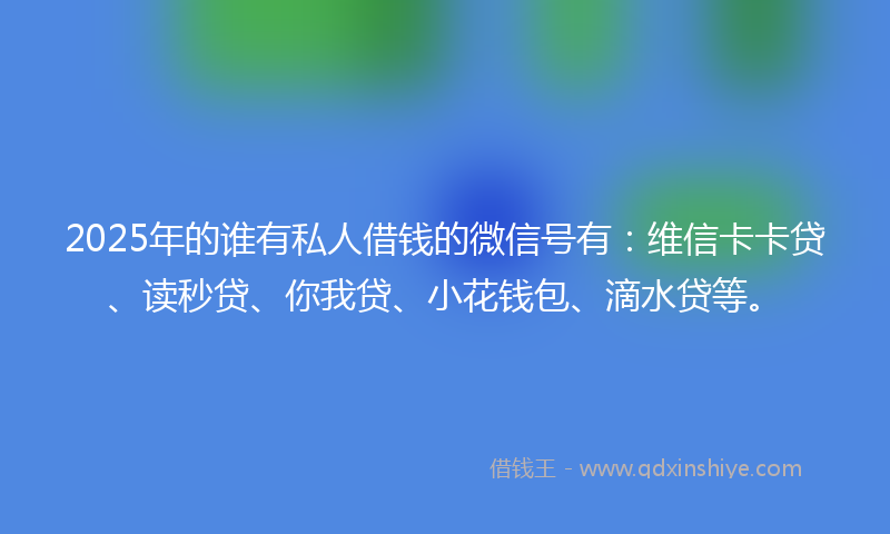 2025年的谁有私人借钱的微信号有：维信卡卡贷、读秒贷、你我贷、小花钱包、滴水贷等。