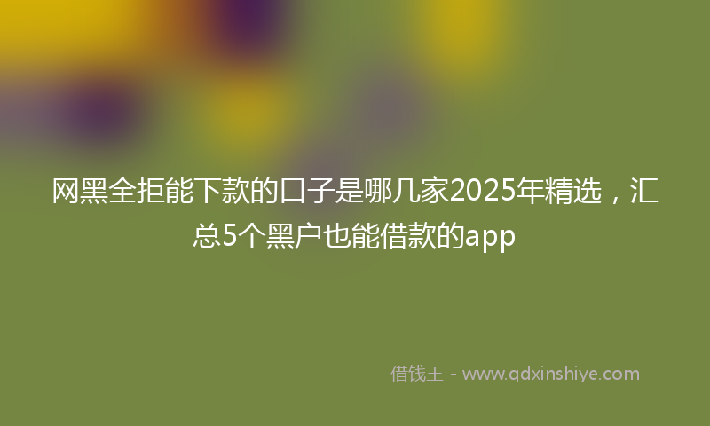 网黑全拒能下款的口子是哪几家2025年精选，汇总5个黑户也能借款的app