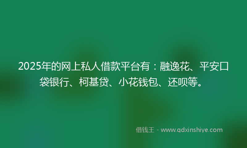2025年的网上私人借款平台有：融逸花、平安口袋银行、柯基贷、小花钱包、还呗等。