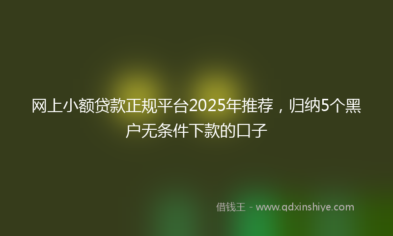 网上小额贷款正规平台2025年推荐，归纳5个黑户无条件下款的口子