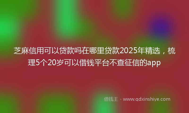芝麻信用可以贷款吗在哪里贷款2025年精选，梳理5个20岁可以借钱平台不查征信的app