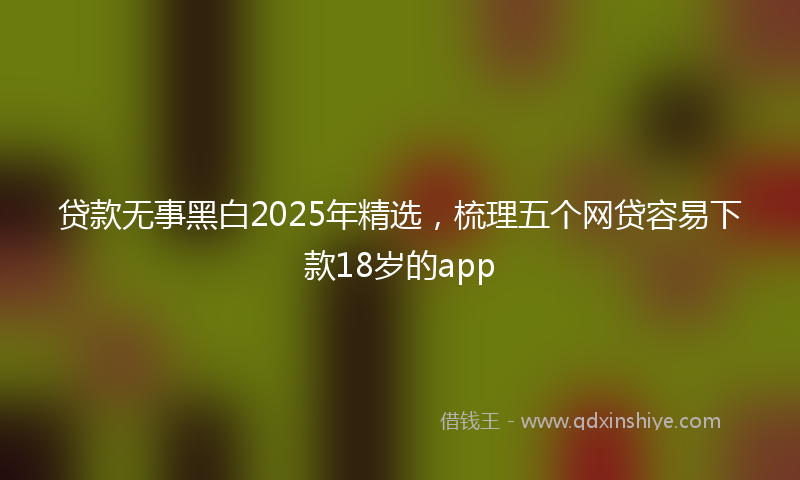 贷款无事黑白2025年精选，梳理五个网贷容易下款18岁的app
