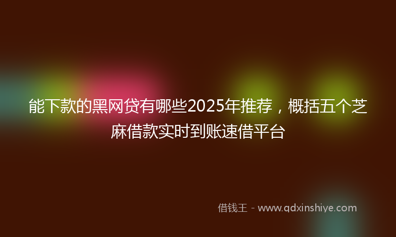 能下款的黑网贷有哪些2025年推荐，概括五个芝麻借款实时到账速借平台