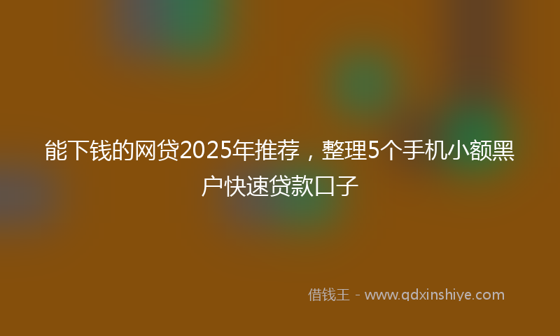 能下钱的网贷2025年推荐，整理5个手机小额黑户快速贷款口子