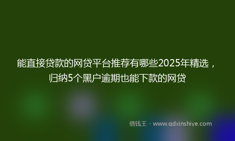 能直接贷款的网贷平台推荐有哪些2025年精选，归纳5个黑户逾期也能下款的网贷