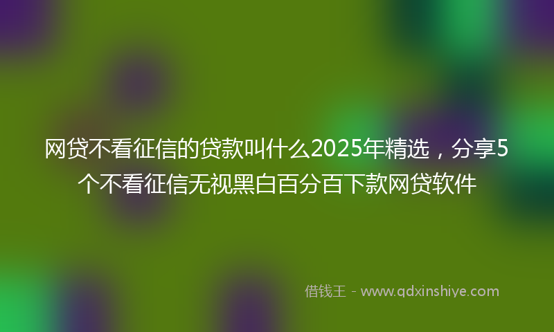 网贷不看征信的贷款叫什么2025年精选，分享5个不看征信无视黑白百分百下款网贷软件