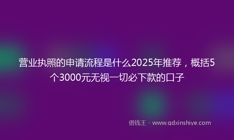 营业执照的申请流程是什么2025年推荐，概括5个3000元无视一切必下款的口子