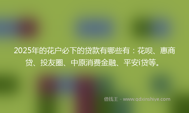 2025年的花户必下的贷款有哪些有:花呗、惠商贷、投友圈、中原消费金融、平安i贷等。