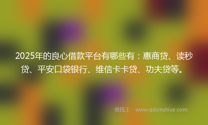 2025年的良心借款平台有哪些有：惠商贷、读秒贷、平安口袋银行、维信卡卡贷、功夫贷等。