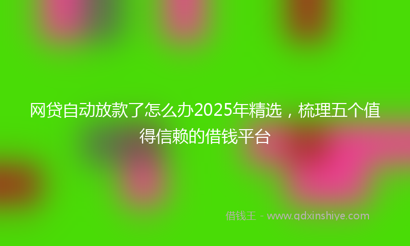 网贷自动放款了怎么办2025年精选，梳理五个值得信赖的借钱平台
