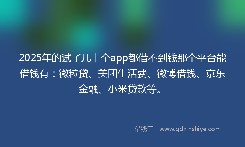 2025年的试了几十个app都借不到钱那个平台能借钱有：微粒贷、美团生活费、微博借钱、京东金融、小米贷款等。