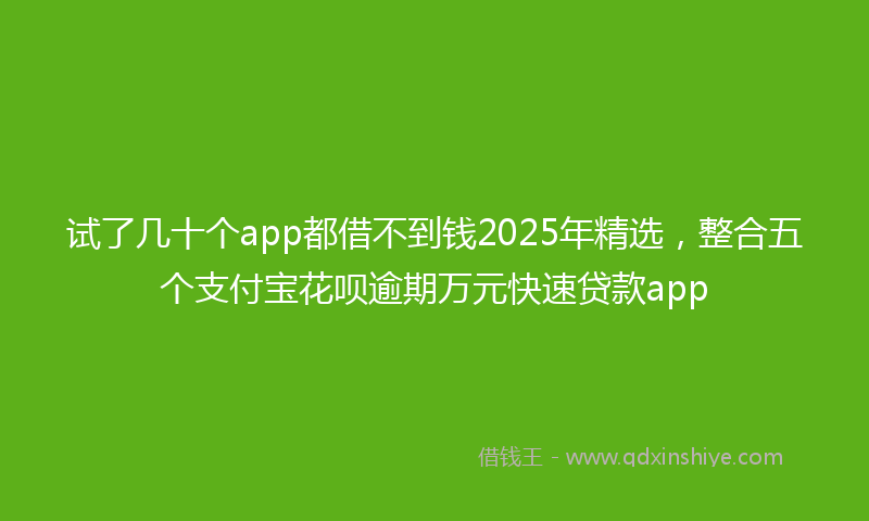 试了几十个app都借不到钱2025年精选，整合五个支付宝花呗逾期万元快速贷款app