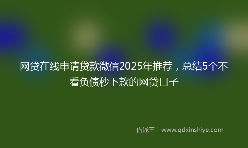 网贷在线申请贷款微信2025年推荐，总结5个不看负债秒下款的网贷口子