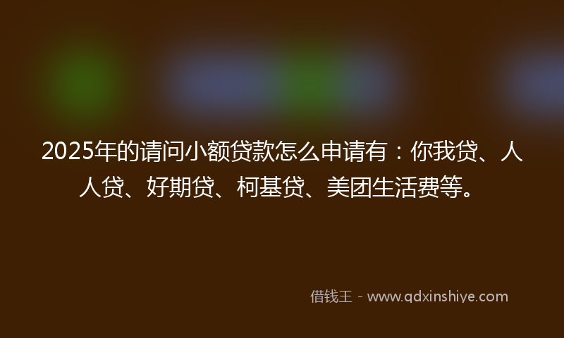2025年的请问小额贷款怎么申请有：你我贷、人人贷、好期贷、柯基贷、美团生活费等。