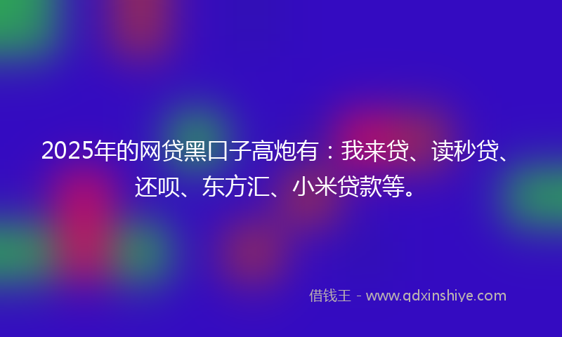 2025年的网贷黑口子高炮有：我来贷、读秒贷、还呗、东方汇、小米贷款等。