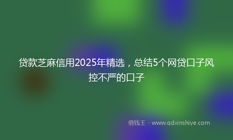贷款芝麻信用2025年精选，总结5个网贷口子风控不严的口子