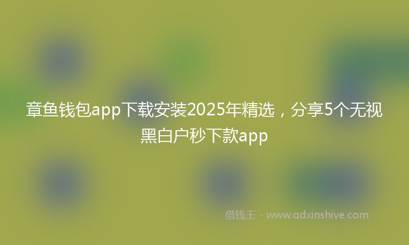 章鱼钱包app下载安装2025年精选，分享5个无视黑白户秒下款app