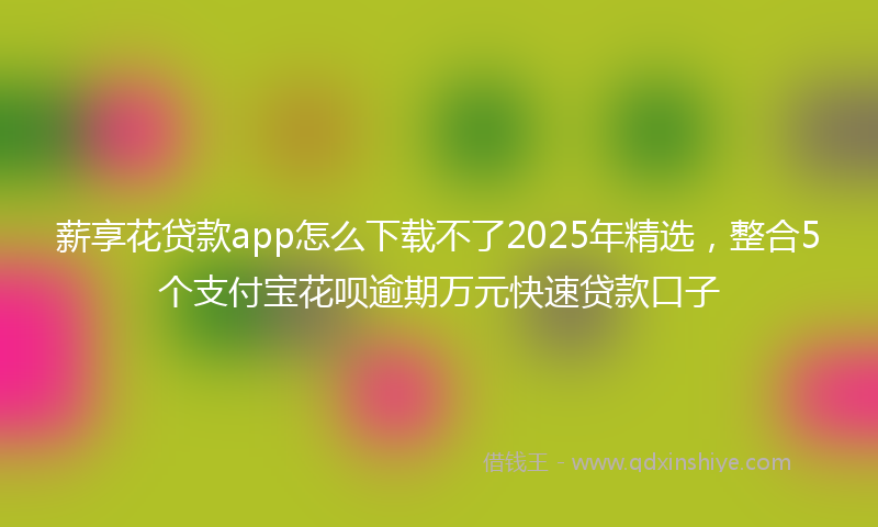 薪享花贷款app怎么下载不了2025年精选，整合5个支付宝花呗逾期万元快速贷款口子