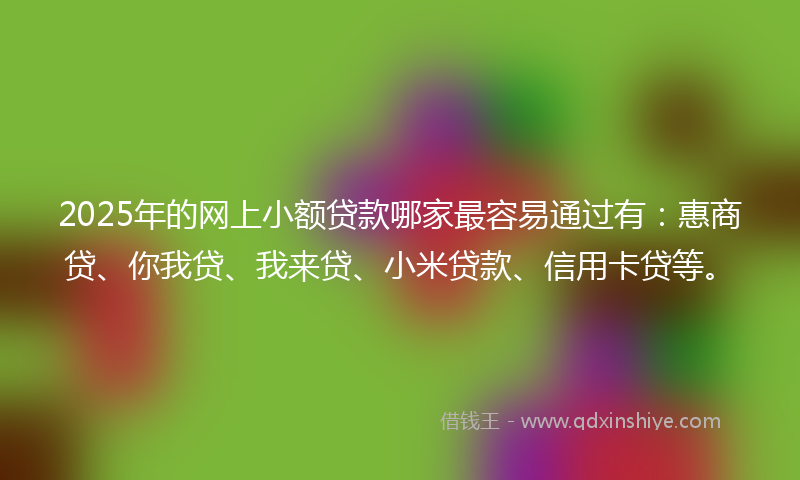 2025年的网上小额贷款哪家最容易通过有：惠商贷、你我贷、我来贷、小米贷款、信用卡贷等。