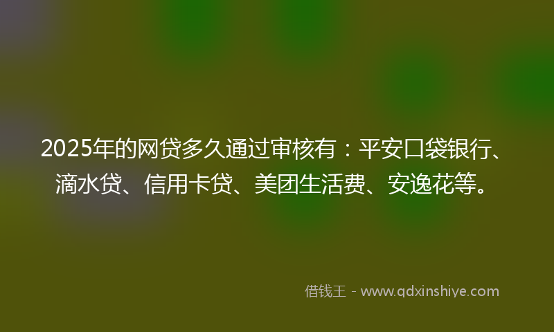 2025年的网贷多久通过审核有：平安口袋银行、滴水贷、信用卡贷、美团生活费、安逸花等。