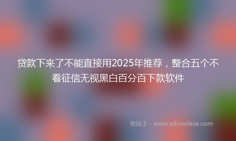 贷款下来了不能直接用2025年推荐，整合五个不看征信无视黑白百分百下款软件