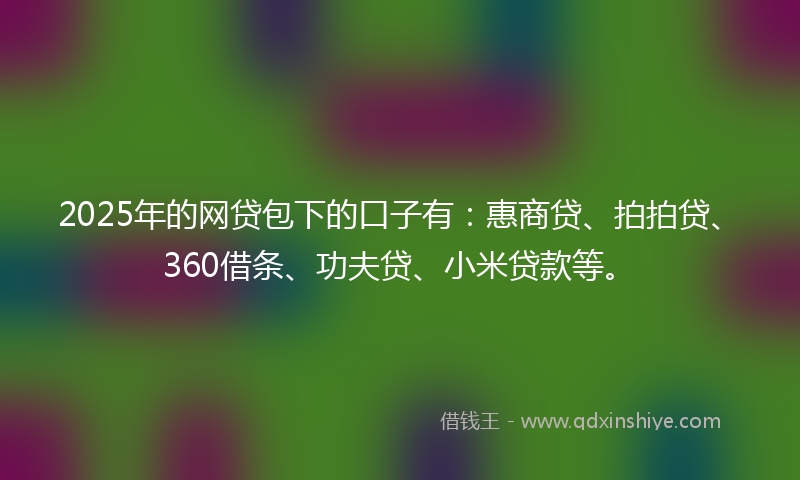 2025年的网贷包下的口子有：惠商贷、拍拍贷、360借条、功夫贷、小米贷款等。