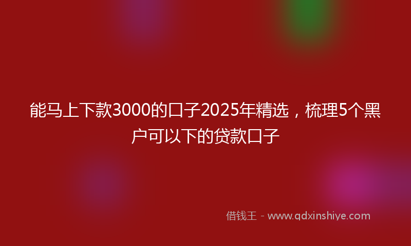 能马上下款3000的口子2025年精选，梳理5个黑户可以下的贷款口子