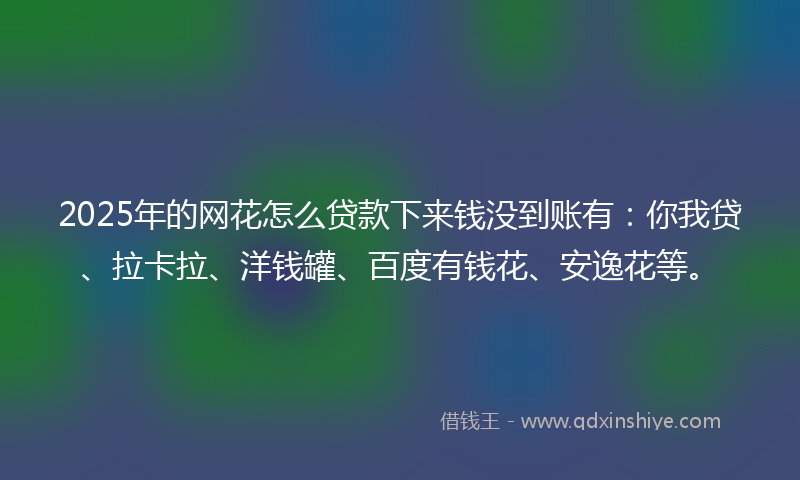 2025年的网花怎么贷款下来钱没到账有：你我贷、拉卡拉、洋钱罐、百度有钱花、安逸花等。